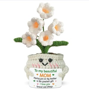 <span class=keywords><strong>2025</strong></span> Bán Chạy Nhất Handmade Đan Chậu Hoa Crochet Chậu Cây Nhân Tạo Hoa Quà Tặng Cho Các Bà Mẹ Valentine Ngày Quà Tặng - Product Image 6