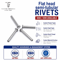 TianFang Rivets Semi-Tubulaires à Tête Plate OEM pour Machine Industrielle, Certifié IATF 16949