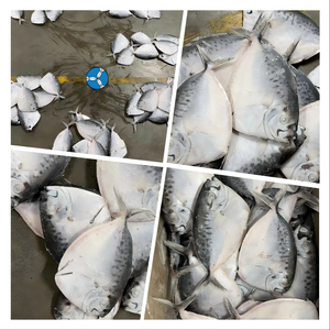 SANFENG SEAFOOD Ikan Bulan Beku Berkualitas Restoran di Asia Tenggara untuk Koki Profesional