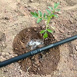Tuyau d'irrigation goutte à goutte en PE de 16 mm avec <span class=keywords><strong>goutteur</strong></span> cylindrique intégré, anti-colmatage, à compensation de pression, <span class=keywords><strong>pour</strong></span> serres et vergers - Product Image 2