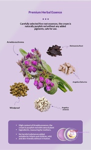 Pommade à <span class=keywords><strong>la</strong></span> consoude pour soulager les piqûres de moustiques, effet rafraîchissant, cicatrisant et anti-démangeaisons - Product Image 6