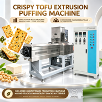 Chips de Tofu, Snacks Soufflés au Tofu, Vente en Gros, Snacks Exotiques, Fabricant de Snacks Chinois