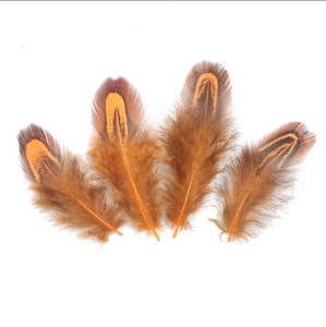Nhuộm <span class=keywords><strong>Pheasant</strong></span> Bộ Lông Lông 2-3Inch Bộ Lông Lông Cho May Thủ Công Quần Áo Trang Trí Phụ Kiện - Product Image 4