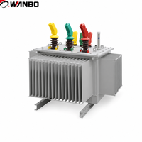 Transformateur immergé dans l'huile en alliage amorphe Wanbo-510 S20, enroulement en cuivre hermétique, 10 kV, ONAN Dyn11, KVA personnalisé