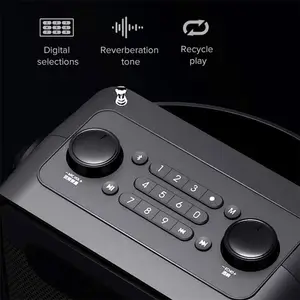 Shidu 25W Luid Stereo Geluid Tws Party Speaker Echo Effect Draadloze Microfoon Karaoke Machine Bluetooth Draagbare Pa Speakers