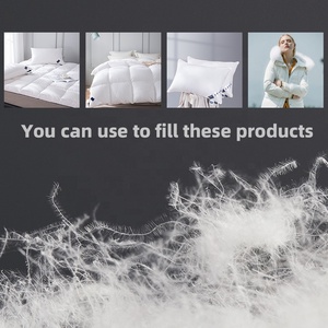 Lông Ngỗng Oko-Tex Nhà Sản Xuất Chuyên Nghiệp Lông Vũ Giá Tốt Bán Buôn - Product Image 2
