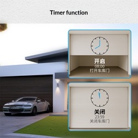 Interrupteur de porte de garage intelligent Graffiti Zigbee, contrôlé par application, minuterie, commande vocale Alexa, interrupteur marche/arrêt, AC90-250V, ignifuge