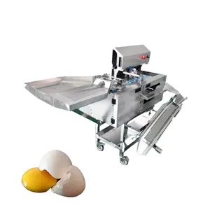 Máquina grande para quebrar ovos, descascador de casca de ovo, detalhes separador de claras de ovo, separador de gema