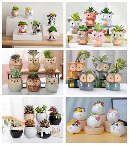 OEM Cute Mini Small Owl Fox Animal Set Succulent Planter Ceramic Flower Pot Plant Pots