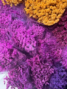 <span class=keywords><strong>Fleurs</strong></span> <span class=keywords><strong>séchées</strong></span> Plantes <span class=keywords><strong>Fleurs</strong></span> conservées Limonium <span class=keywords><strong>Bouquet</strong></span> d'herbe cristal Fleur sèche pour la décoration intérieure - Product Image 5