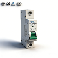 Fournisseur chinois fiable 1P SCB 40kA-80kA 230/400VAC certifié CE HANDELE HDSCB-II80 Disjoncteur spécial contre les surtensions