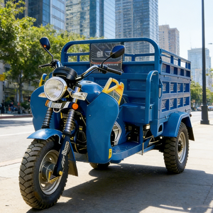 Motocicleta de 3 Ruedas de <span class=keywords><strong>Gasolina</strong></span> de 250cc Económica, Carrocería Resistente, Baja Tasa de Averías, para Uso a Largo Plazo - Product Image 4