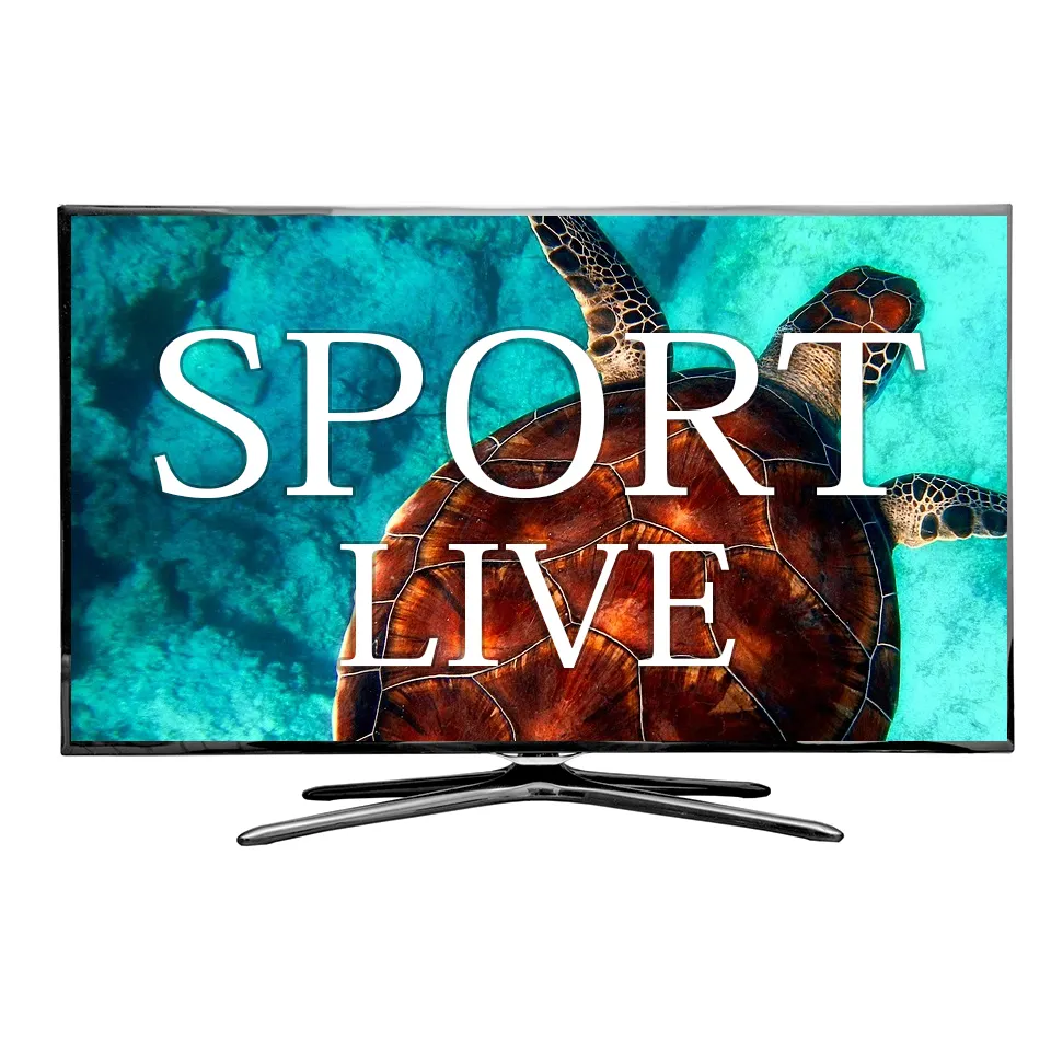 4K UHD M3u IPTV Händler-Panel 1 Jahr Xtream-Code Smart TV Android TV mit TV Stick und WLAN 2.4G kostenloser Test
