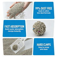 Litière pour chat en bentonite naturelle, ultra faible teneur en poussière, agglomération rapide, absorbante, pour distributeurs de magasins d'animaux – Approvisionnement direct usine