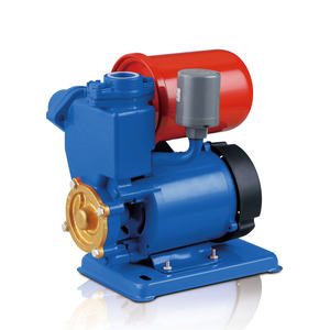 <span class=keywords><strong>Pompe</strong></span> de réservoir de <span class=keywords><strong>pompe</strong></span> auto-amorçante en laiton avec tuyau et <span class=keywords><strong>pressostat</strong></span> - Product Image 6