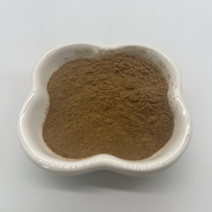 Polvo de Extracto de Hongo Chanterelle (Cantarina) al por Mayor, Polisacárido al 50% - Product Image 3