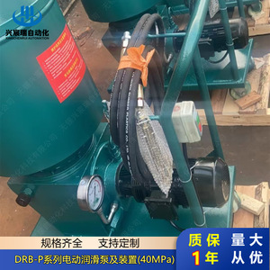 Xingchenrui Electric Lubrication <b>Pump</b> DRB5 P235Z Single Phase 40MPa Flange Connection Positive Displacement - Product Image 4