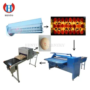 Hento Factory Price Egg Washing And Grading Machine / Automatic Egg Grading Machine