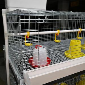 China Multi Tier Battery Cage System Broiler <strong>Chicken</strong> Cage for Meat 5000 and 500 in Good Price - Product Image 3
