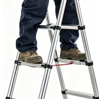 Échelle télescopique robuste en alliage d'aluminium, spécifiquement conçue pour la rénovation, capacité de charge 150 kg, mécanisme pliable pour déplacement et utilisation en salle de sport/escalier