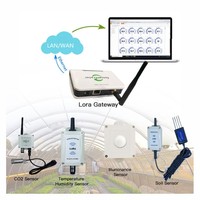 Capteur de température et d'humidité sans fil IoT LoRa pour l'agriculture en intérieur et en extérieur