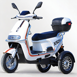 Scooter Quater-1 de 1000w con 4 Ruedas Grandes y Homologación EEC para Personas Mayores 1. Sistema de Gestión de Carga de Tres Ruedas (motor y controlador) de 800w - Product Image 4