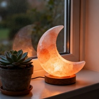 Lampe en sel rose de l'Himalaya pur avec base en bois poli pour salle à manger, salle de bain, halothérapie, massage, amélioration de l'ambiance