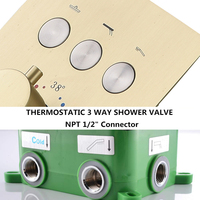 Système de pommeau de douche à 3 fonctions Mélangeur de pluie Ensemble de douche de salle de bain