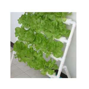 Petit système de culture hydroponique verticale NFT pour plantes, système de tuyaux, jardin d'<span class=keywords><strong>intérieur</strong></span> - Product Image 1