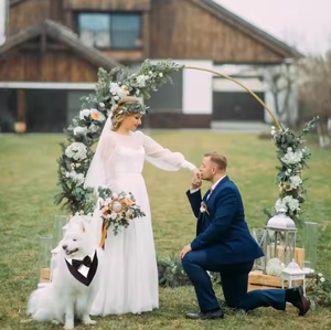 Gaun pernikahan anjing RM Tuxedo, <span class=keywords><strong>Bandana</strong></span> poliester Solid dengan dasi kupu-kupu untuk semua musiman, musim panas musim semi untuk kostum ulang tahun kucing - Product Image 4