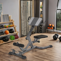 Chaise romaine en acier réglable bas du dos banc d'exercice ischio-jambiers fessiers maison Gym Fitness outil Machine-Extension Machine banc