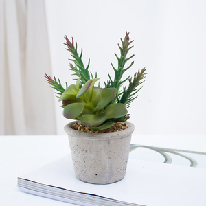 Spéciale incroyable artificielle plantes succulentes cactus herbe bonsaï avec <span class=keywords><strong>pot</strong></span> en béton pour la décoration - Product Image 2