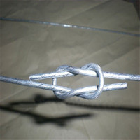 Fil de ligature rapide pour plomberie, fil de coton pour balles, fil de ligature en fer enduit, fixation de positionnement de pipeline de construction