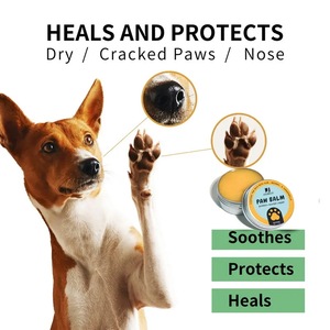 Baume de patte de chien revitalisant naturel de marque privée nourrir protéger réparer endommagé baume de patte d'animal familier hydratant sucette baume de patte de chien - Product Image 2