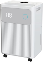 Déshumidificateur domestique silencieux avec réservoir d'eau amovible pour chambre et placard