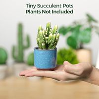Petit pot de fleurs en céramique écologique de 2,5 pouces avec trou de drainage, finition glacée effet craquelé, pour plantes succulentes et cactus