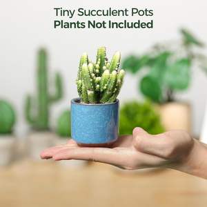 Maceta Pequeña de Cerámica Ecológica de 2.5 Pulgadas para Suculentas, con Orificio de Drenaje, Acabado Glaseado con Efecto de Grieta de Hielo, Contenedor para Plantas, Cactus y Suculentas - Product Image 6