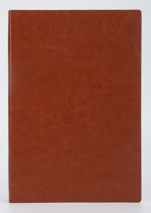 สีน้ำตาล