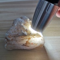 Doppelkopf-Jade-Identifikationslampe Wiederaufladbare 365/395NM LED-Taschenlampe Sechs Lichtquellen-Lampe Schmuck- und Edelstein-Detektor UV-Licht