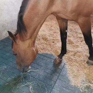 Tapete de Piso de Goma Antideslizante EPDM para Caballos, Vacas, Ganado, Establos, Uso en Interiores y Exteriores, Jardín, Duradero e Impermeable - Product Image 6