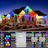 Twinklight - Vente en gros - Lumières LED RGBW permanentes pour l'extérieur - 30 mm - Lumières de Noël - Lumières de fête - 12 volts - Lumières LED RGB Pixel