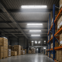 Lámpara LED Tri-proof de 40W IP66 para Chip, 4800LM, 120lm/W, 1.2m, para Almacenes, Certificación CE/CB, Garantía de 5 Años