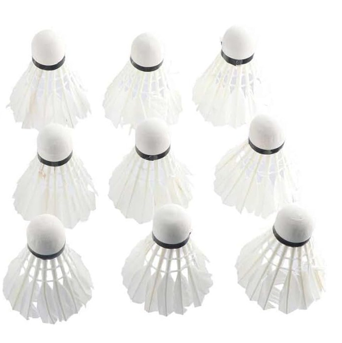 Tête en mousse de baignoire pour volant de badminton blanc, 12 pièces