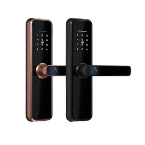 Hot Selling Rfid Cloth Reader Front Door Lock Passage Mode Waterproof Steel Security Smart Door Locks With WIFI TUYA TTLOCK