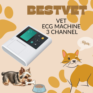 BESTVET 휴대용 3채널 개/반려동물 수의학용 심전도 모니터 (USB/내장 프린터 포함) 7인치 터치스크린 12리드 의료용 - Product Image 3