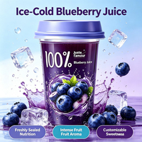 100% puur fruitextract gezonde drank verse NFC koudgeperste bosbessensap voor supermarkt retail
