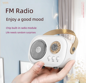 Retro Taşınabilir Karaoke Hoparlör Mikrofonlu 6 Ses Efekti HIFI Ses Bluetooth TF FM Radyo Kablosuz Şarkı Söyleme Makinesi - Product Image 4