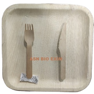 Feuille de palmier Areca écologique bols jetables biodégradables plateaux complexes motif de plantes gravées ensemble d'assiettes à vaisselle fêtes - Product Image 2