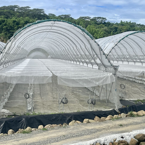 Cubierta <span class=keywords><strong>de</strong></span> invernadero <span class=keywords><strong>de</strong></span> túnel <span class=keywords><strong>de</strong></span> película <span class=keywords><strong>de</strong></span> plástico <span class=keywords><strong>fresa</strong></span> arándano - Product Image 3