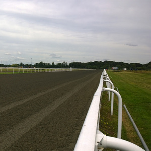 Clôture de cheval d'arène professionnelle avec rails de sécurité Breakaway idéal pour la clôture de course de chevaux d'entraînement de sprint <span class=keywords><strong>pur</strong></span>-<span class=keywords><strong>sang</strong></span> - Product Image 1